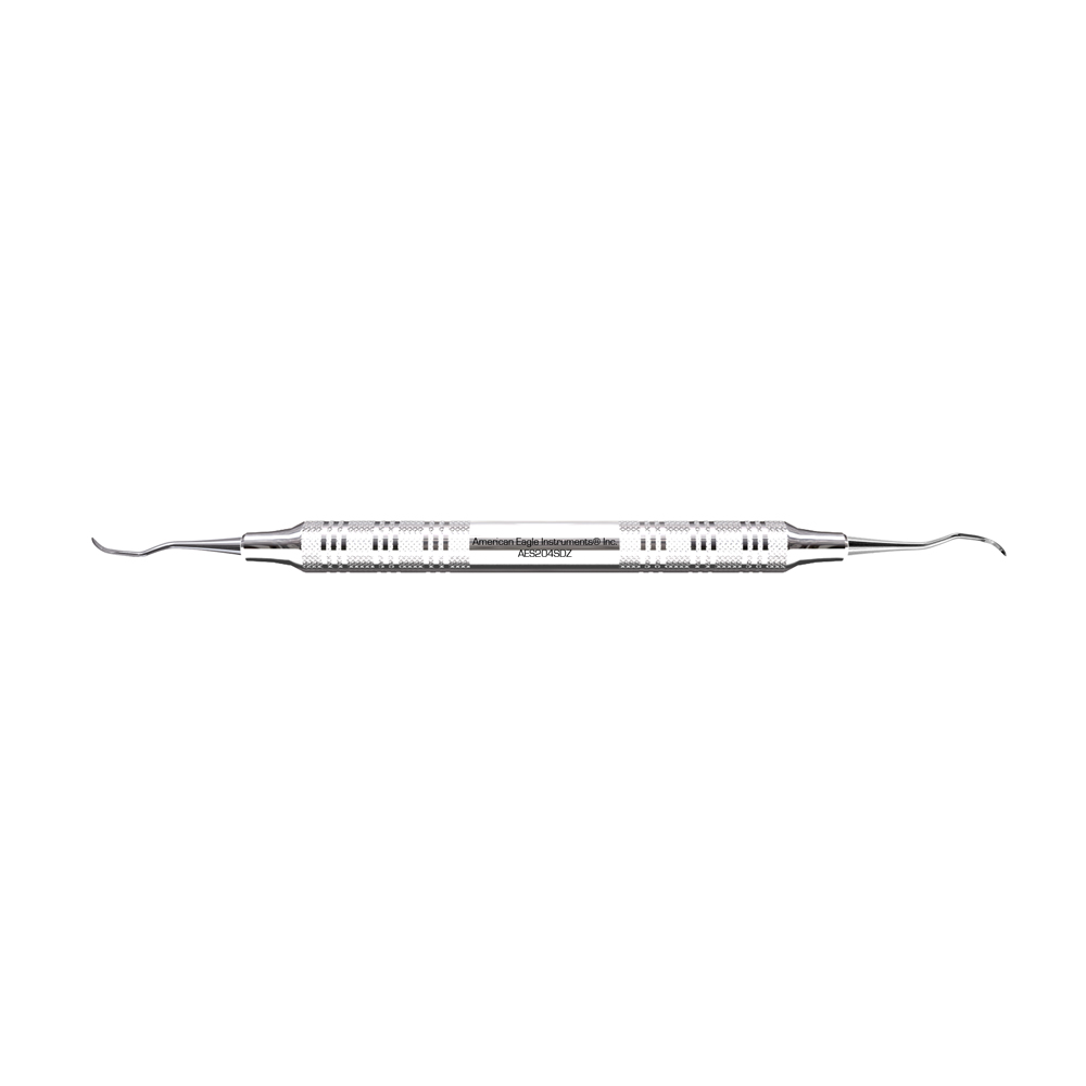 American Eagle Stainless Steel 204SD Scaler with Stainless Steel Handle (1 ct)