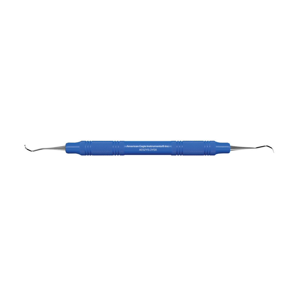 American Eagle Stainless Steel 2YS-3YS Scaler with Resin Handle – Blue (1 ct)