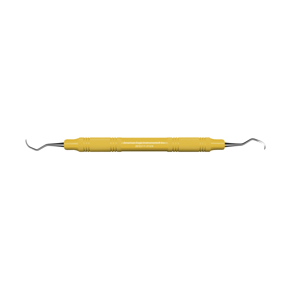 American Eagle Stainless Steel 311-312 Scaler with Resin Handle – Blue (1 ct)