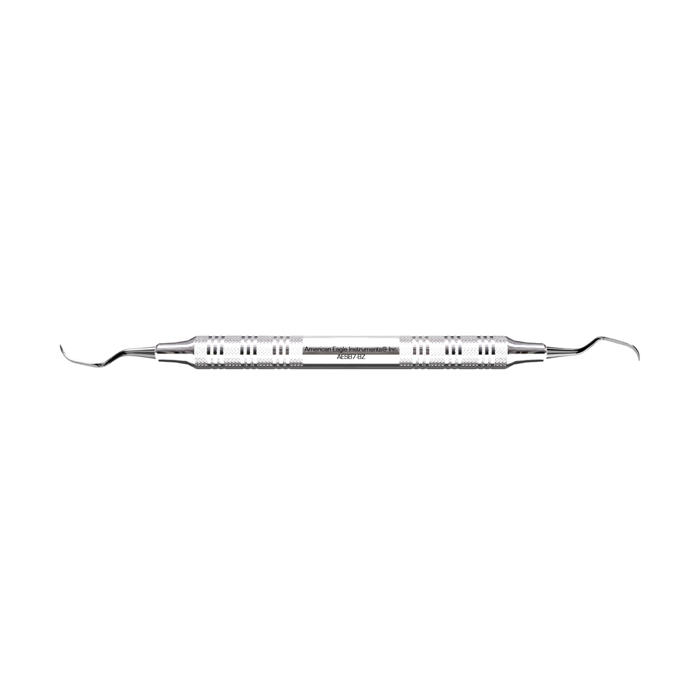 American Eagle Stainless Steel Bates 7-8 Scaler with Stainless Steel Handle (1 ct)