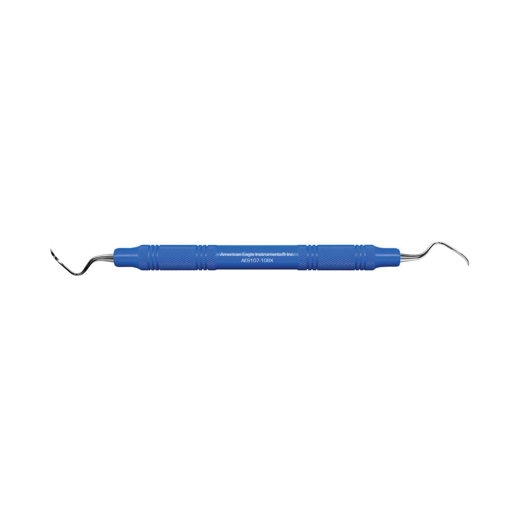 American Eagle Stainless Steel DE 107-108 Scaler with Resin Handle – Blue (1 ct)