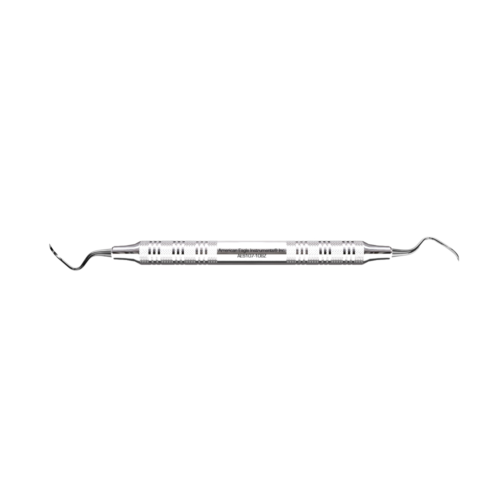 American Eagle Stainless Steel DE 107-108 Scaler with Stainless Steel Handle (1 ct)