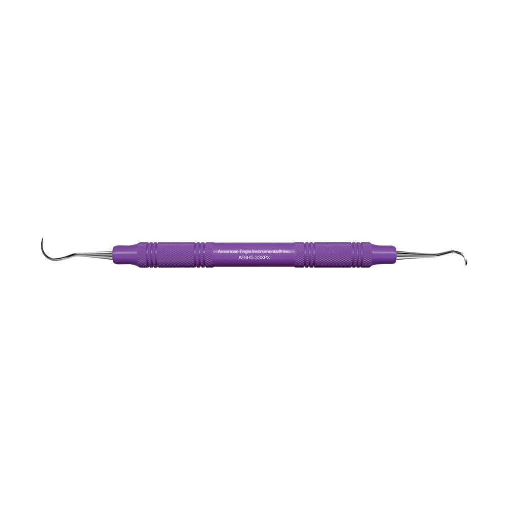 American Eagle Stainless Steel H5-33 Scaler with Resin Handle – Purple (1 ct)