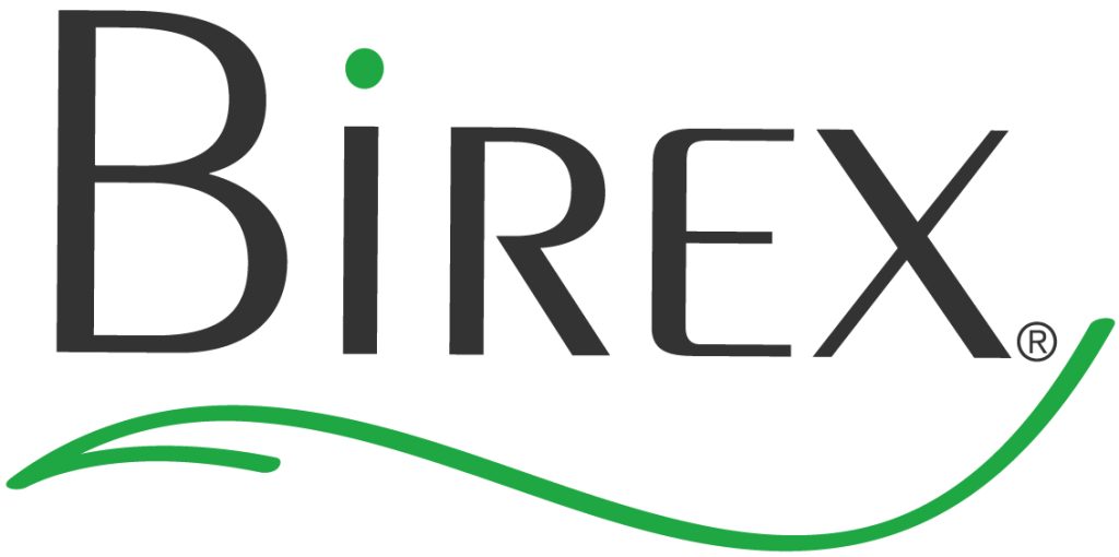 Birex Logo Cmyk